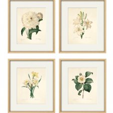 Kwiaty plakat botaniczny zielnik  zestaw 4x A4