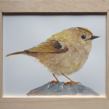 Akwarela ręcznie malowana prezenty ptak mysikrólik + rama